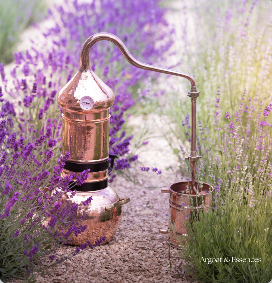 Huiles essentielles : un voyage sensoriel pour le corps et l’âme