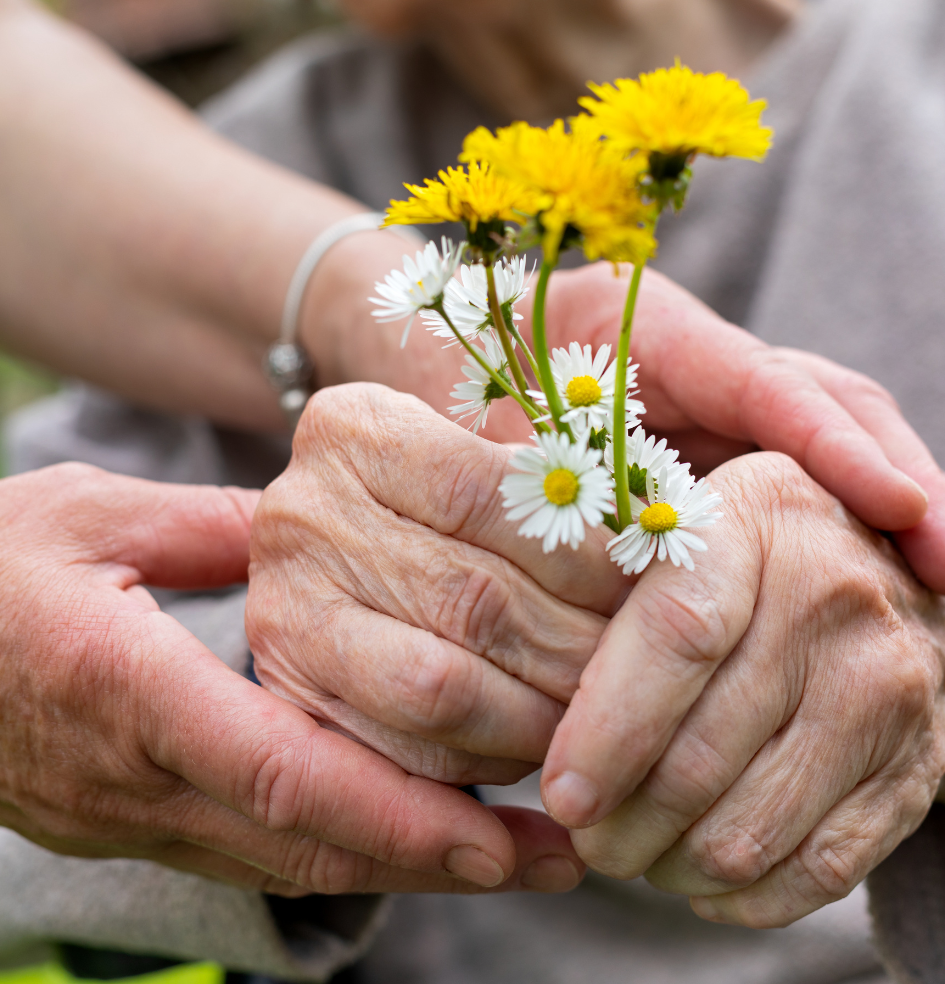 Explorez comment les diffusions d’huiles essentielles, telles que le romarin, la lavande ou l’orange douce, peuvent soutenir la mémoire, le comportement et le bien-être des patients atteints d’Alzheimer, selon les dernières recherches scientifiques.