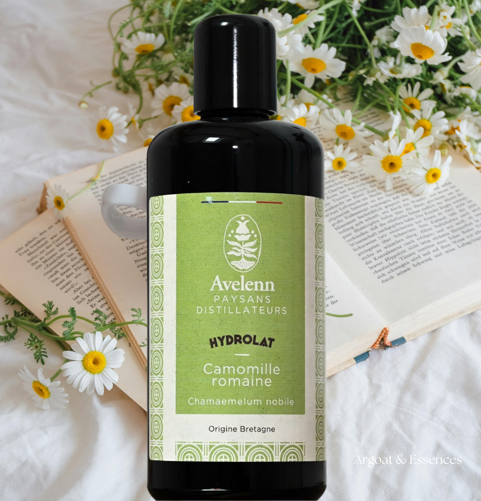 Eau de camomille romaine pour un visage calme et lumineux