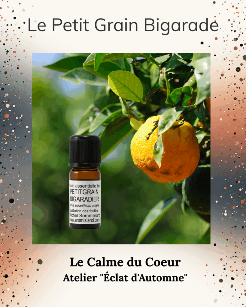 Découvrez le pouvoir de l'huile essentielle de Petit Grain Bigarade (Citrus aurantium). Une essence vibratoire qui apaise les tempêtes intérieures et relâche les tensions du corps et de l'esprit.