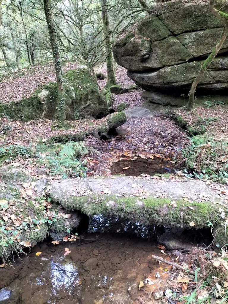 Là où le vent caresse les arbres et où le silence devient langage, naît un espace hors du temps : Les Murmures d’Argoat.