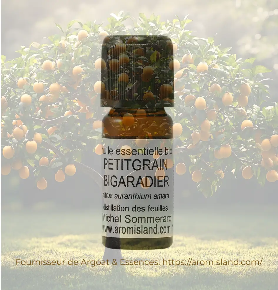 Découvrez le pouvoir de l'huile essentielle de Petit Grain Bigarade (Citrus aurantium). Une essence vibratoire qui apaise les tempêtes intérieures et relâche les tensions du corps et de l'esprit.