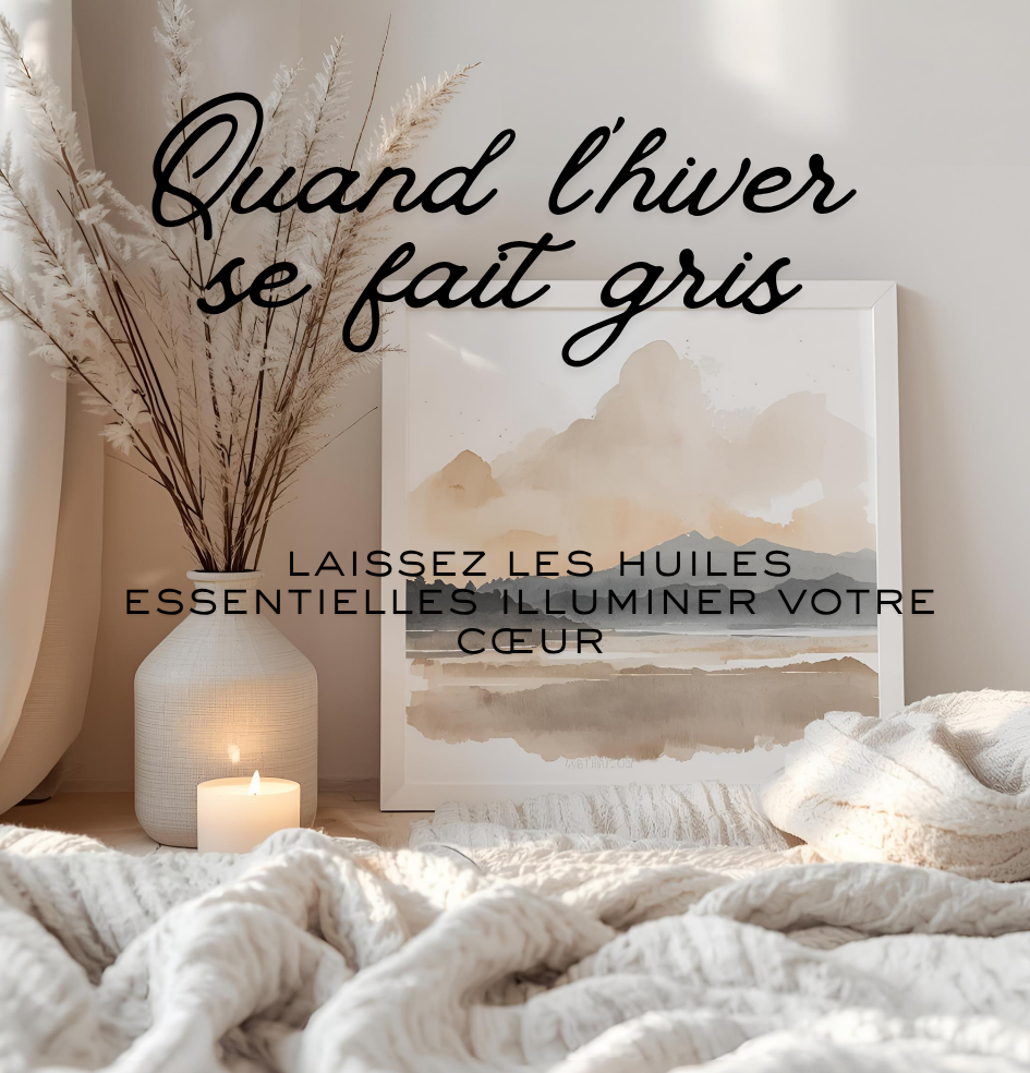 Quand-hiver-se-fait-gris