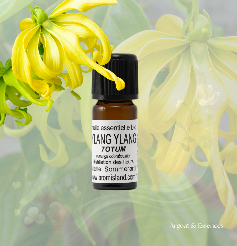 huile-essentielle-ylang-ylang