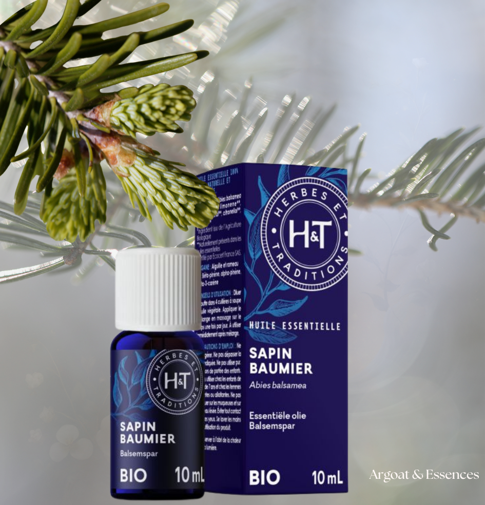 huile-essentielle-sapin-baumier