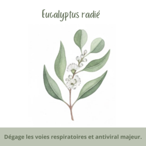 Dégage les voies et antiviral majeur.