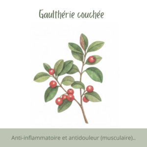 Anti-inflammatoire et antidouleur (musculaire).