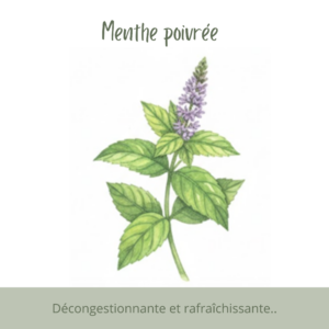 Décongestionnante et rafraîchissante.